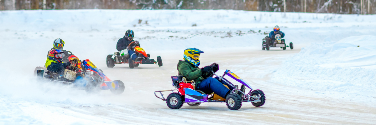 Durability in Diverse Conditions Go Kart